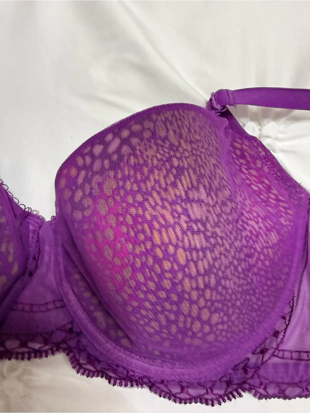 Zara Purple Lace-Trim Push-Up Bra